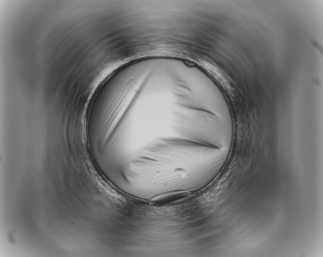 X0000096401238200802141511