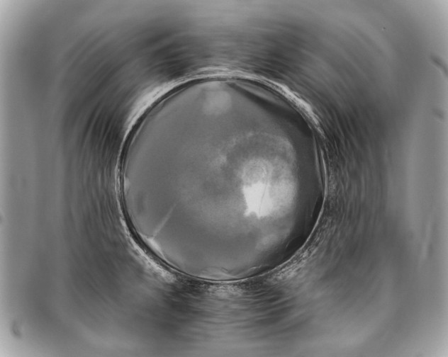 X0000096401239200802141511