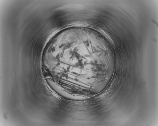 X0000096401240200802141511