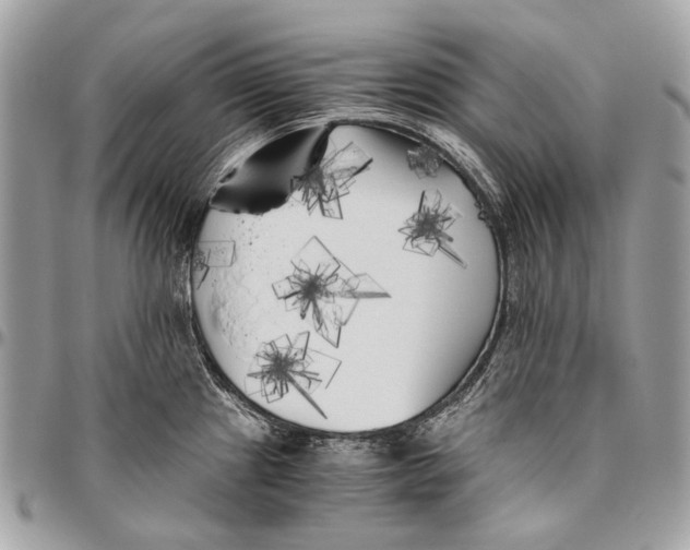 X0000096401241200802141511