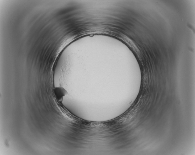 X0000096401242200802141511