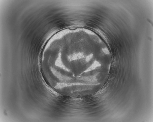 X0000096401243200802141511