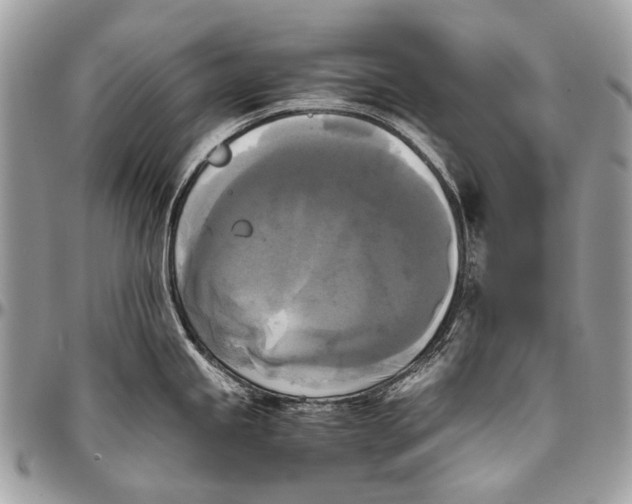 X0000096401245200802141511