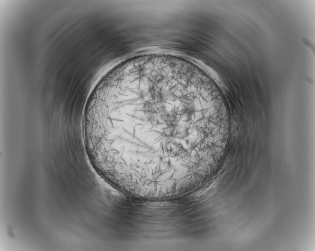 X0000096401247200802141511