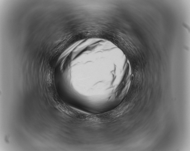 X0000096401250200802141510