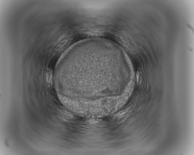 X0000096401251200802141510