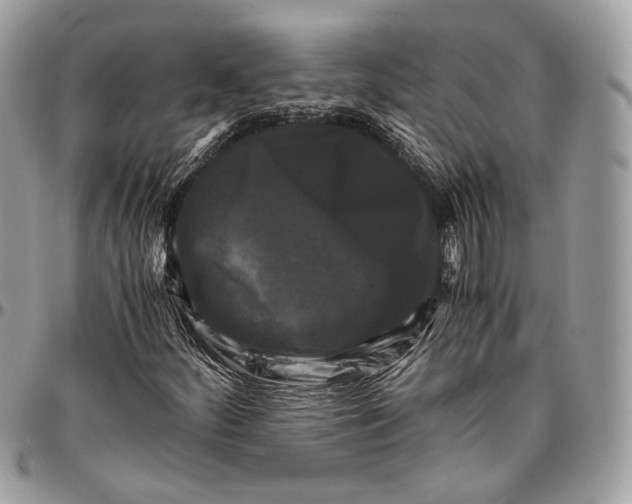 X0000096401252200802141510