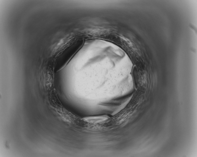 X0000096401253200802141510