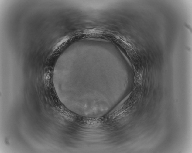 X0000096401254200802141510