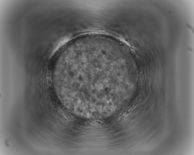 X0000096401255200802141510