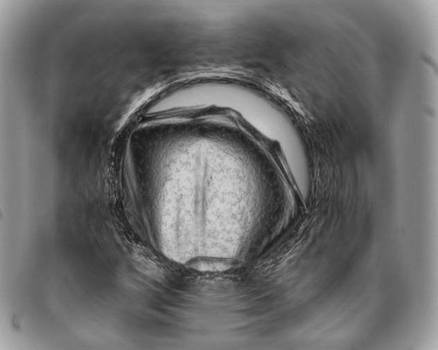 X0000096401256200802141510