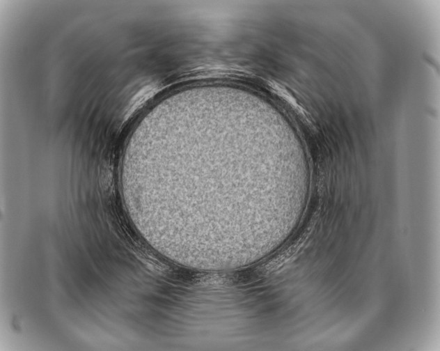 X0000096401259200802141510