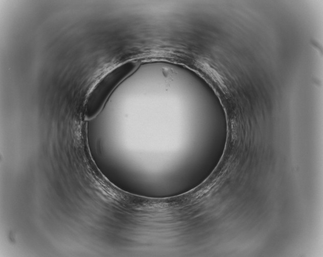 X0000096401260200802141510