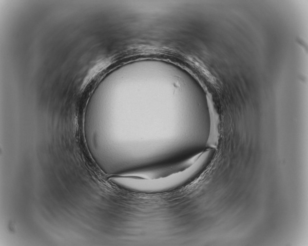 X0000096401261200802141510