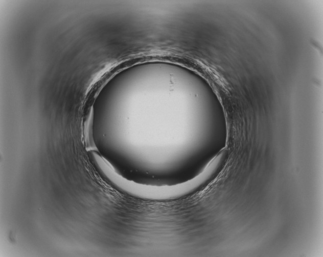 X0000096401262200802141510