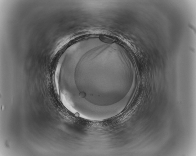 X0000096401263200802141510