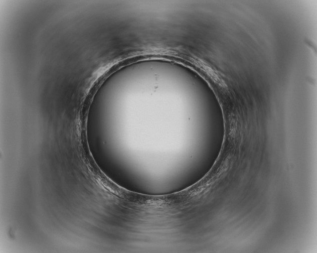 X0000096401264200802141510