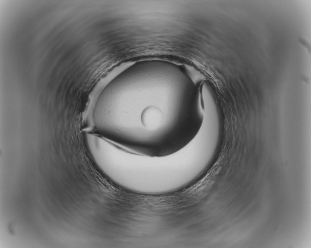 X0000096401265200802141510