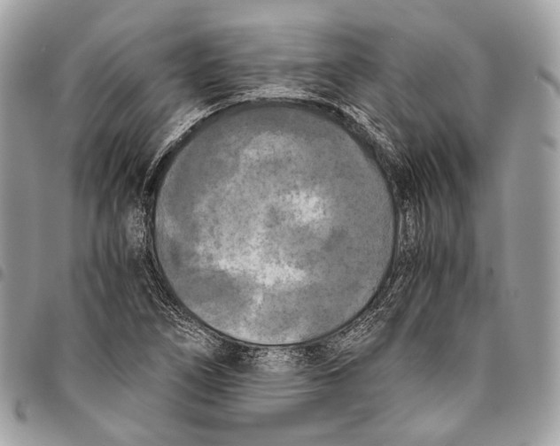 X0000096401266200802141510