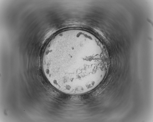 X0000096401267200802141510