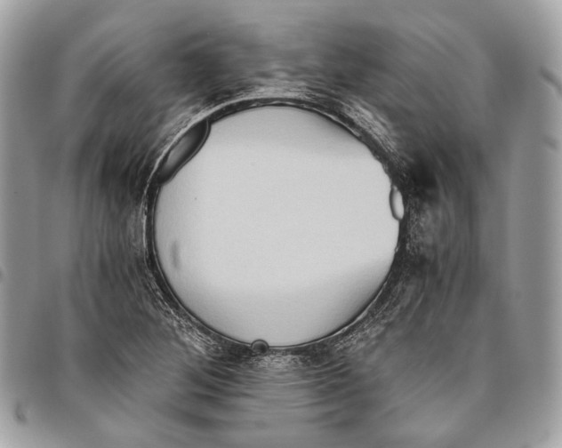 X0000096401268200802141510