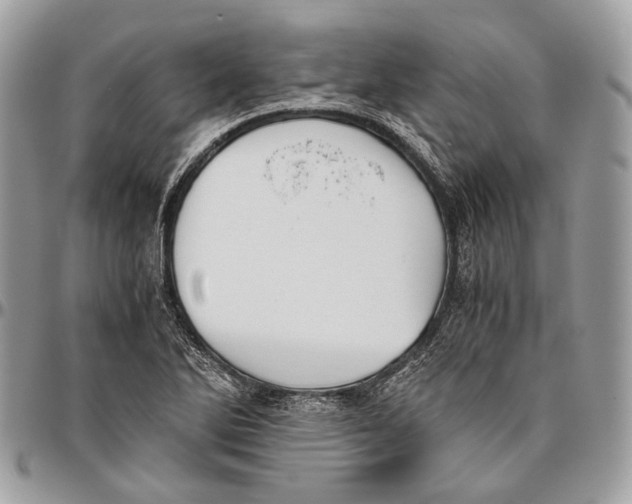 X0000096401270200802141510