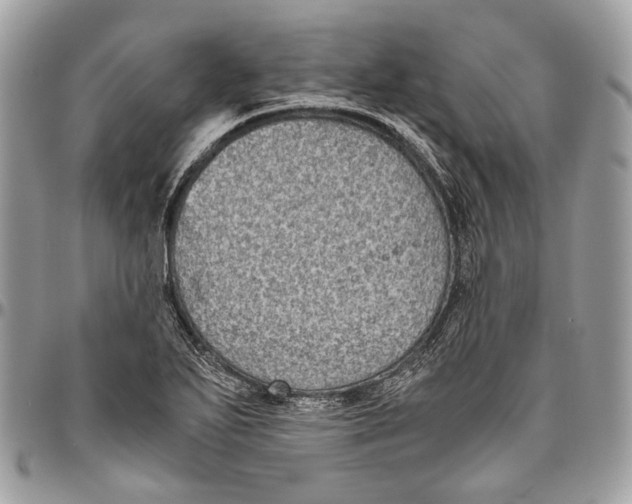 X0000096401271200802141510