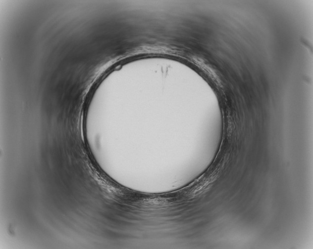 X0000096401272200802141510