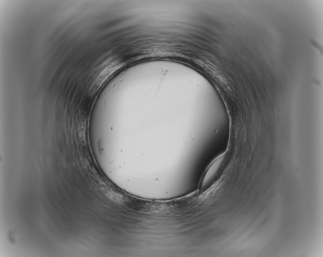 X0000096401273200802141510