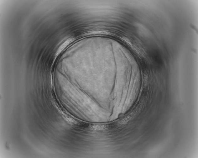 X0000096401274200802141510