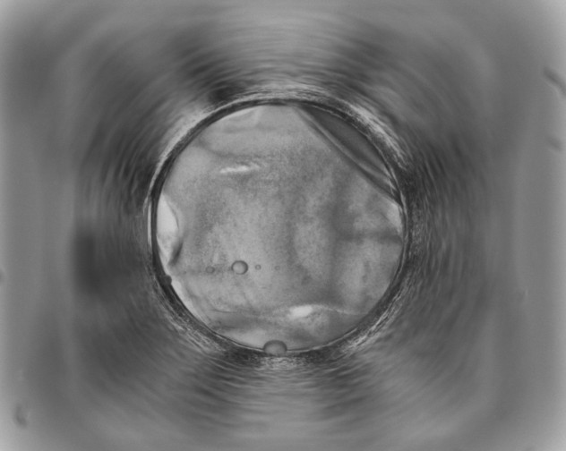 X0000096401275200802141510