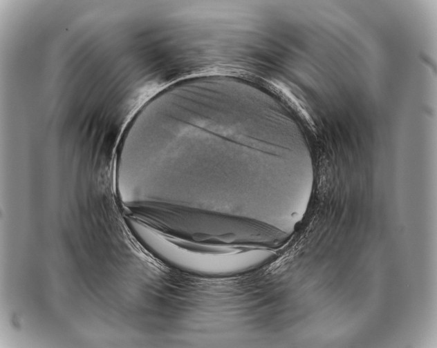 X0000096401276200802141510