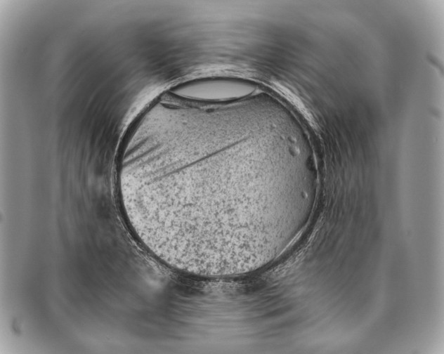 X0000096401277200802141510