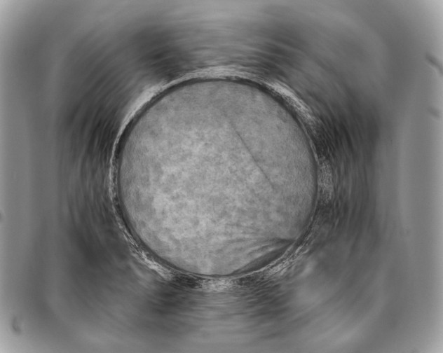 X0000096401278200802141510