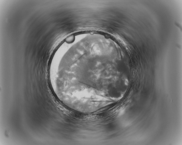 X0000096401279200802141510