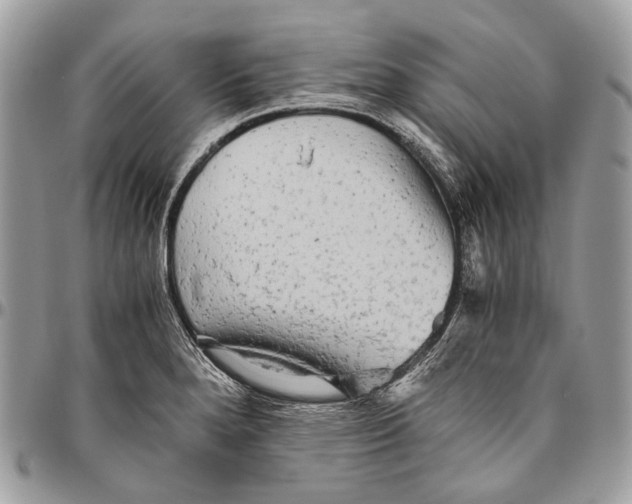 X0000096401280200802141510