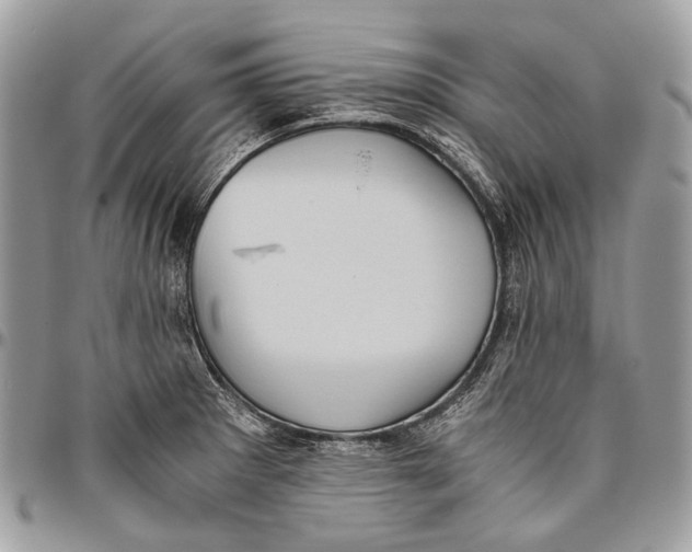 X0000096401281200802141510