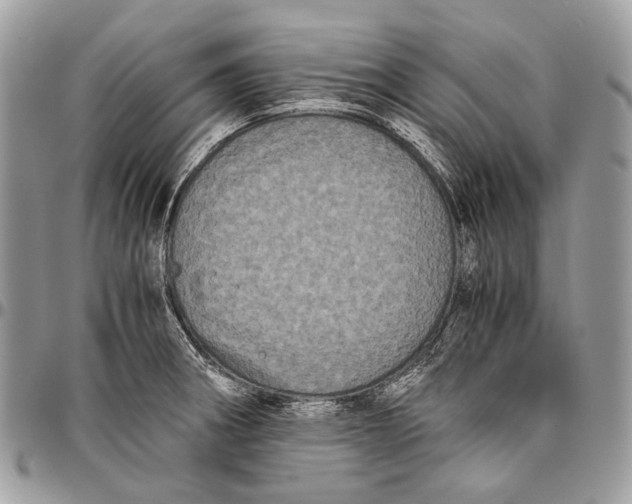 X0000096401282200802141510