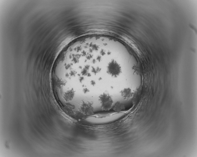 X0000096401283200802141510