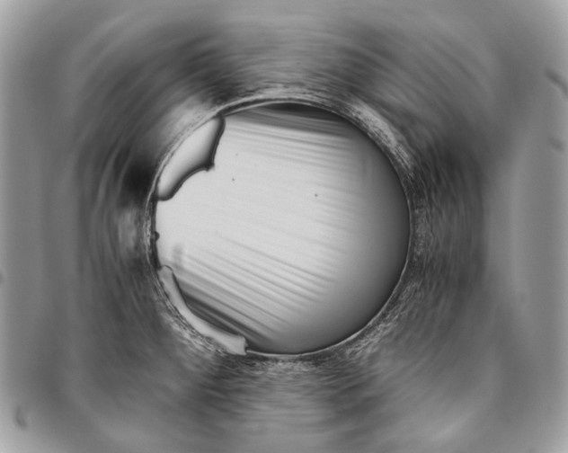 X0000096401284200802141510