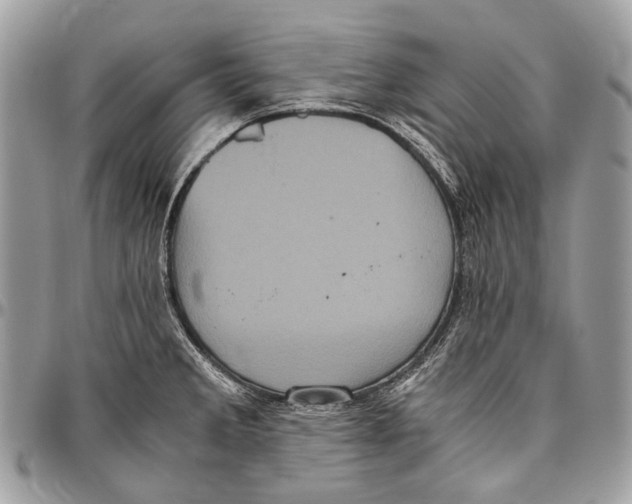 X0000096401285200802141510