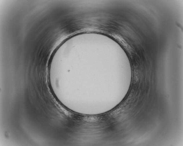 X0000096401286200802141510