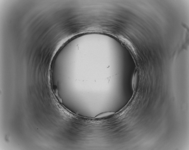 X0000096401288200802141510