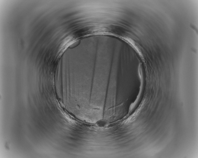 X0000096401289200802141510