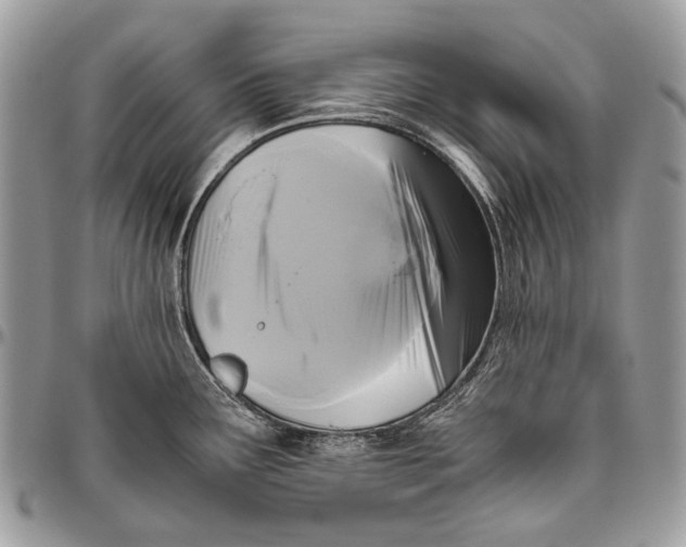 X0000096401291200802141510