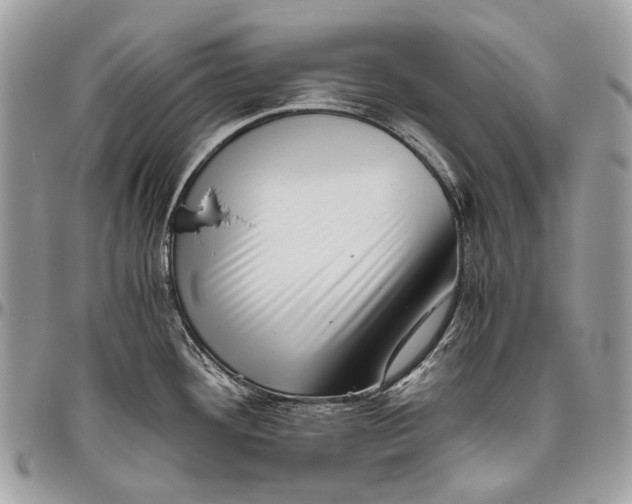 X0000096401292200802141510