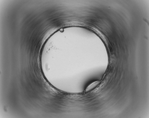 X0000096401293200802141510