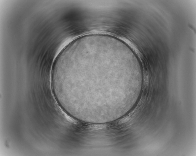 X0000096401294200802141510