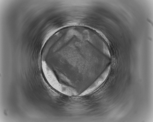 X0000096401295200802141510