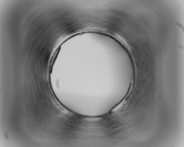 X0000096401296200802141510